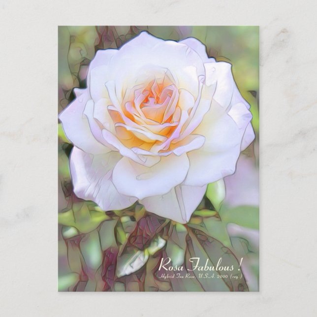 Postal Rosa Fabulous! [Postcard] (Anverso)