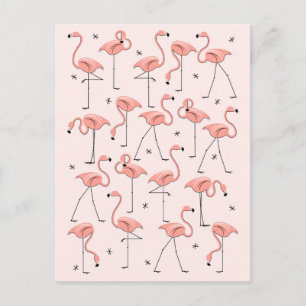 Postal rosa Flamingos
