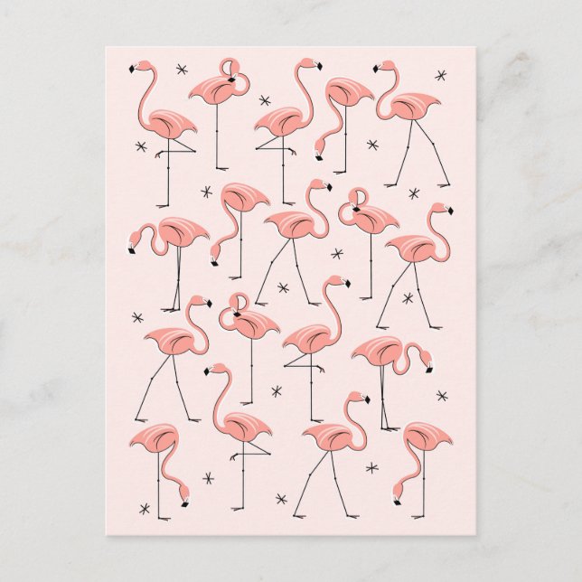 Postal rosa Flamingos (Anverso)