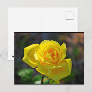 Postal Rosa floral amarilla