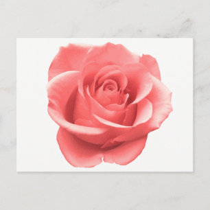 Postal Rosa Floral Roja Borgoña - Amor, Hola