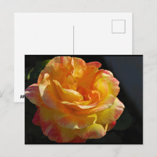 Postal Rosa floral rosa y amarilla