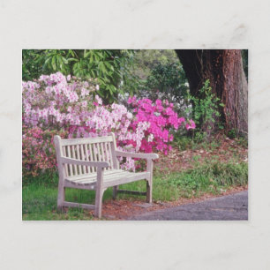 Postal Rosa: flores en el banco del jardín
