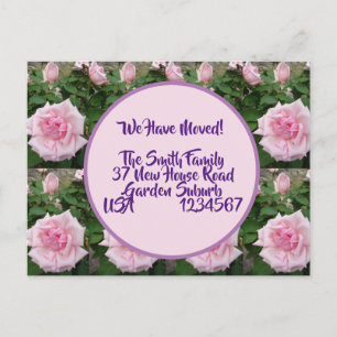 Postal Rosa Flores Nueva Postcard De Dirección, Nos Estam