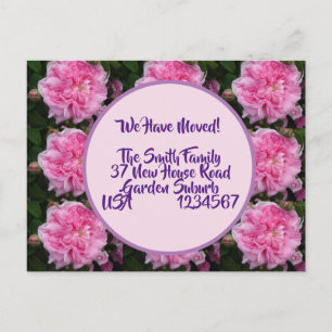 Postal Rosa Flores Nueva Postcard De Dirección, Nos Estam