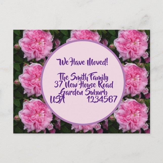 Postal Rosa Flores Nueva Postcard De Dirección, Nos Estam (Anverso)