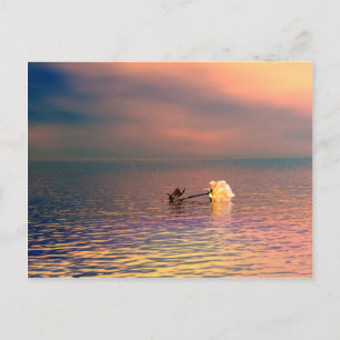 Postal Rosa flotante