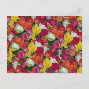 Postal rosa galore