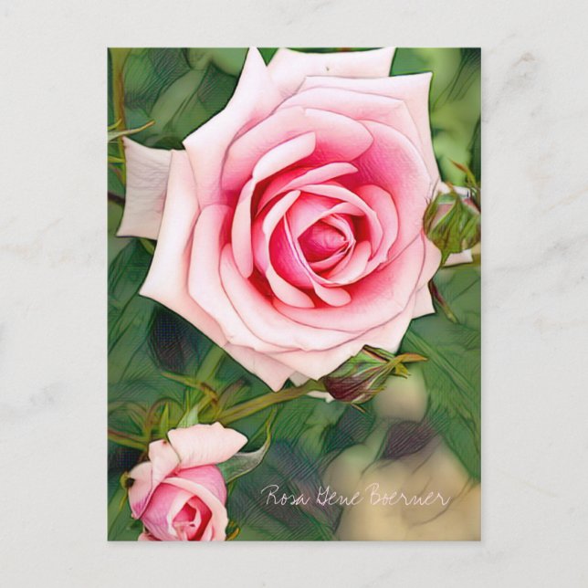 Postal Rosa Gene Boerner [Postal] (Anverso)