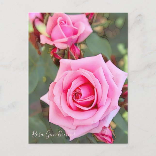 Postal Rosa Gene Boerner [Postal] (Anverso)