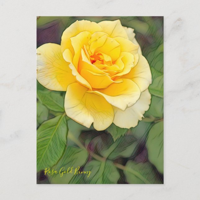 Postal Rosa Gold Bunny [Postal] (Anverso)