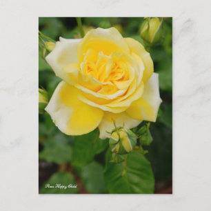 Postal Rosa Happy Child [postal]