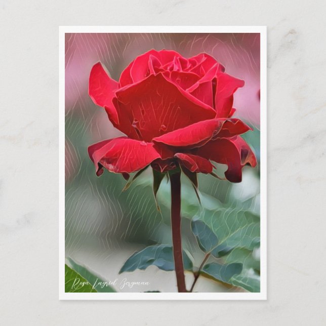 Postal Rosa Ingrid Bergman (Anverso)