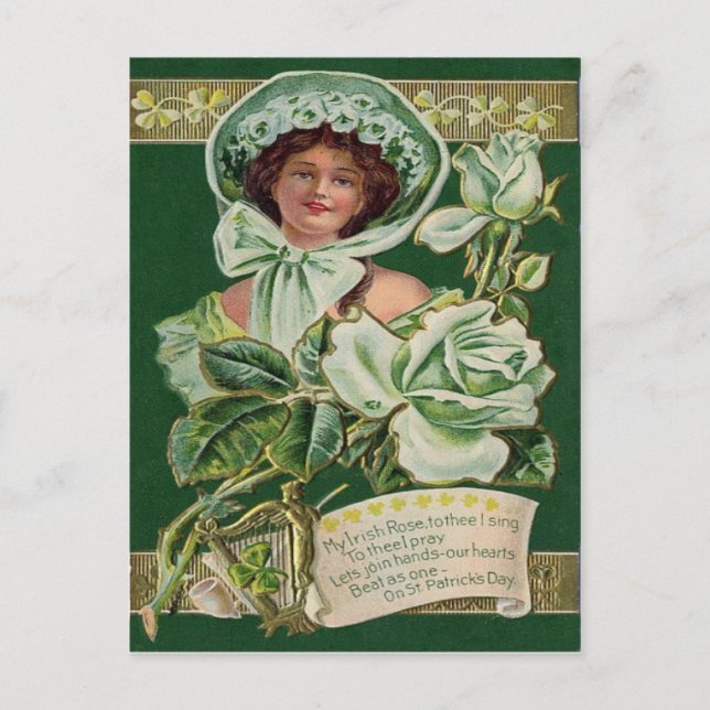 Postal Rosa irlandés Shamrock Clay Pipe Harp (Anverso)