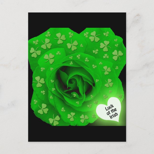 Postal Rosa irlandés - Suerte de los irlandeses (Anverso)