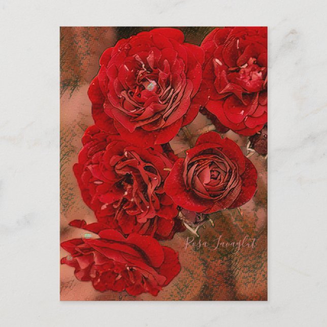 Postal Rosa Lavaglut [postal] (Anverso)