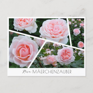 Postal Rosa Mäerchenzauber