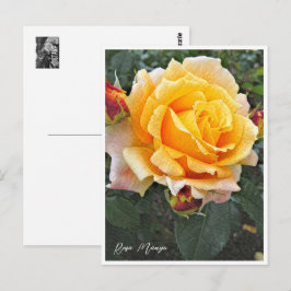 Postal Rosa Manyo