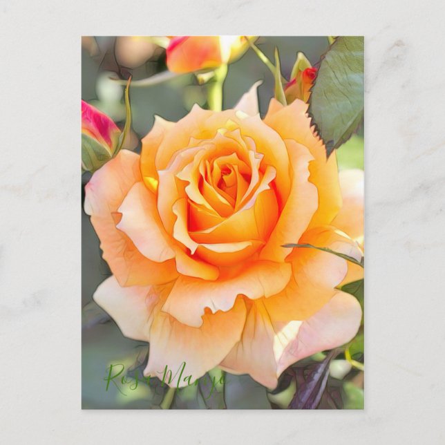 Postal Rosa ‘Manyo’ [Postal] (Anverso)