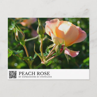 Postal Rosa Melocotón
