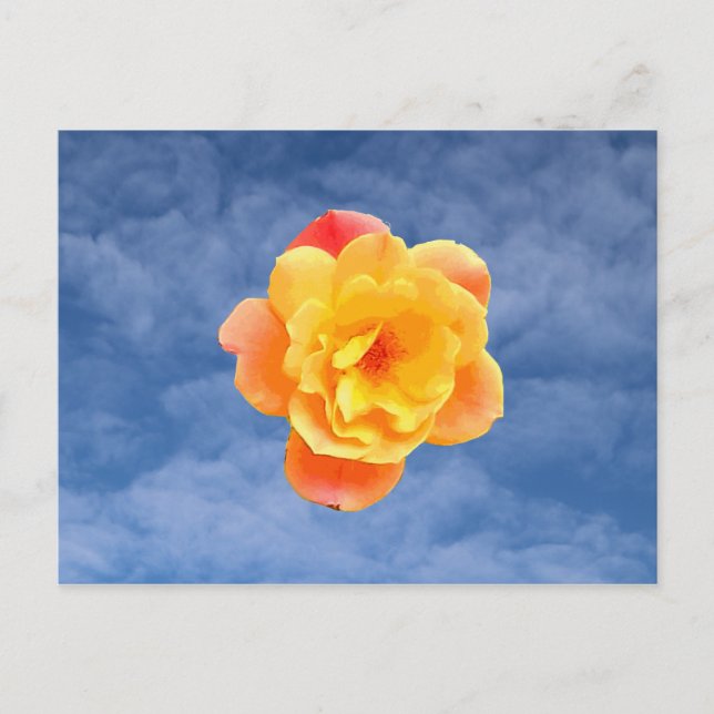 Postal Rosa Melocotón en Cielo Azul (Anverso)