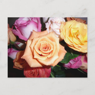 Postal Rosa naranja