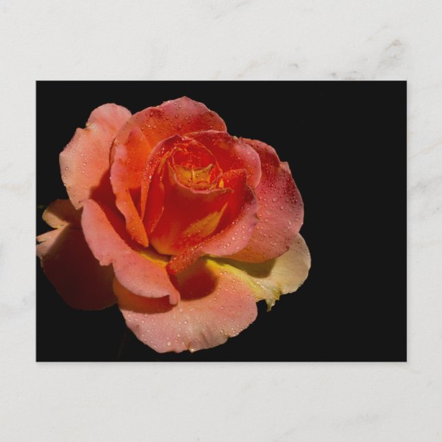 POSTAL ROSA NARANJA 2 (Anverso)