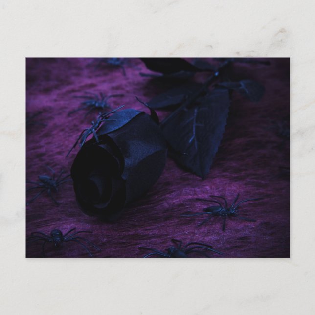 Postal Rosa negra (Anverso)