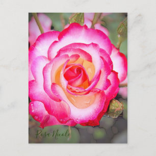 Postal Rosa Nicole [postal]