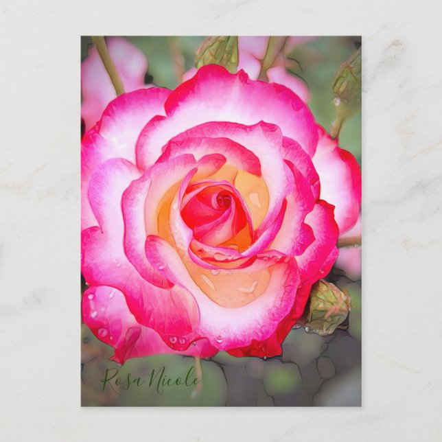 Postal Rosa Nicole [postal] (Anverso)
