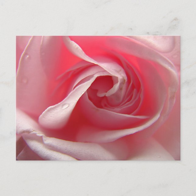 Postal Rosa pálido (Anverso)