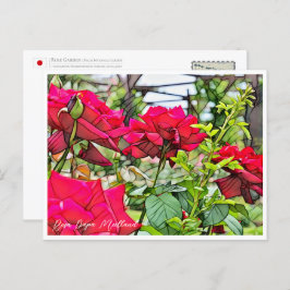 Postal Rosa Papa Meilland