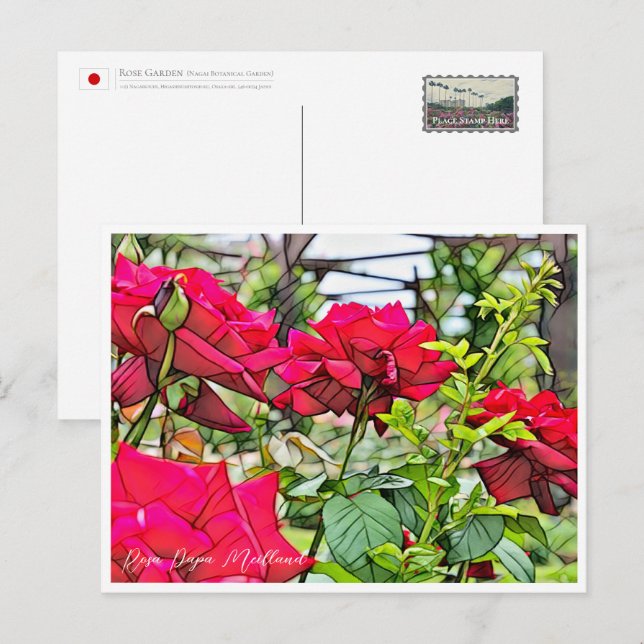 Postal Rosa Papa Meilland (Anverso / Reverso)