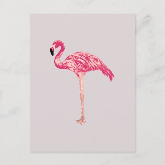 Postal rosa para Ilustracion de pájaro Flamingo (Anverso)