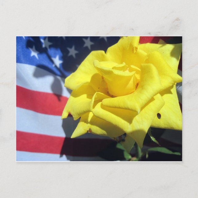 Postal Rosa patriótico (Anverso)