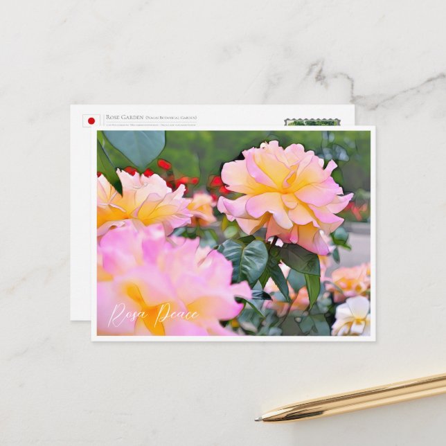 Postal Rosa Peace (Anverso/Reverso In Situ)