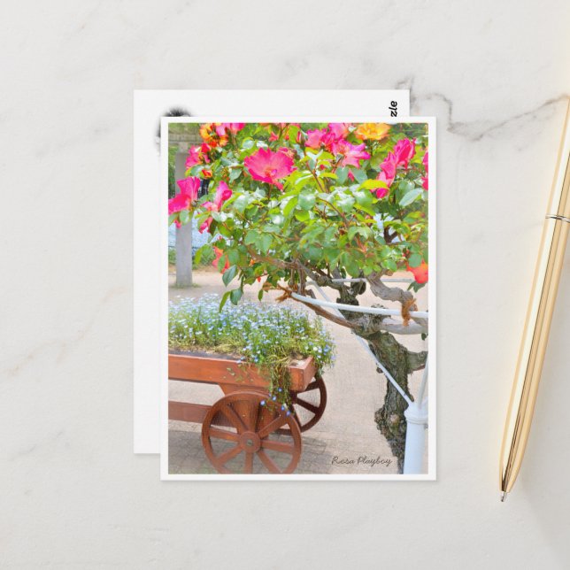 Postal Rosa Playboy (Anverso/Reverso In Situ)