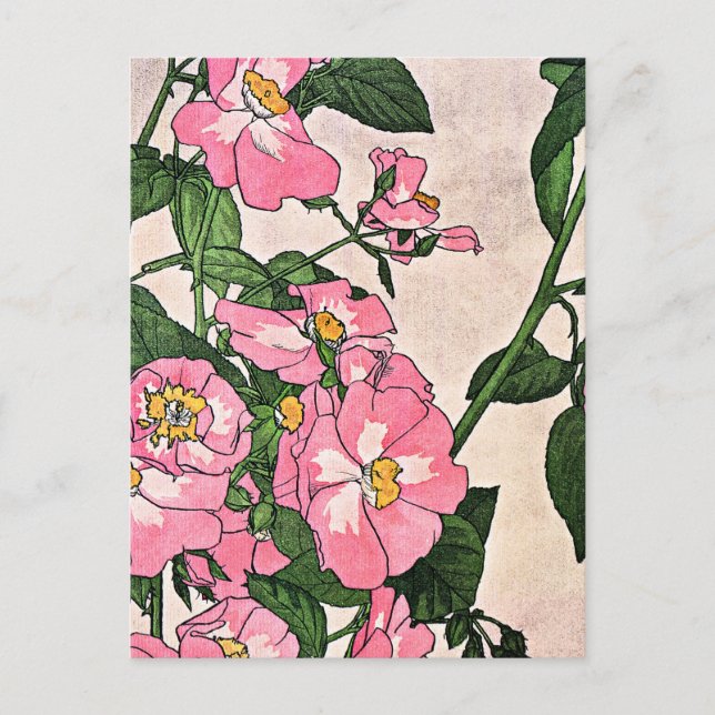 Postal Rosa Prairie, ilustracion bonito floral, (Anverso)