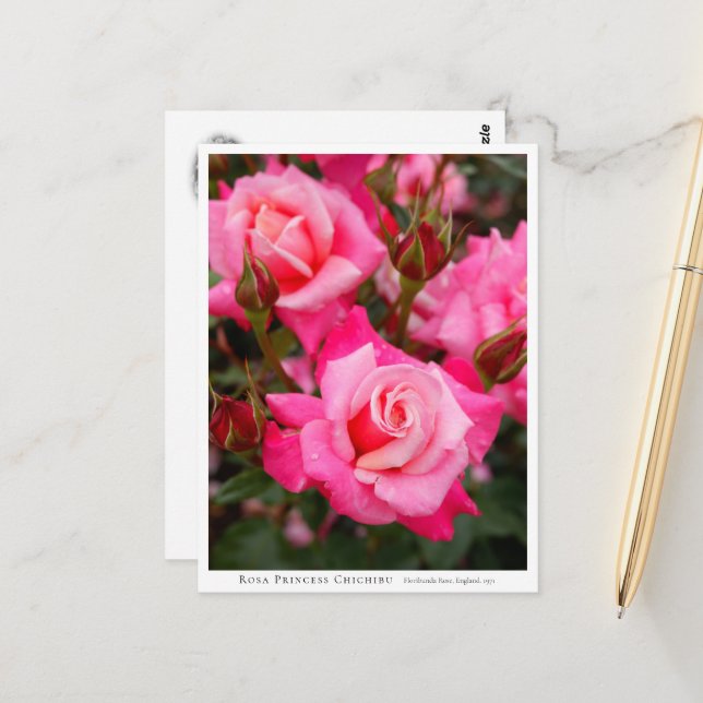 Postal Rosa Princess Chichibu (Anverso/Reverso In Situ)