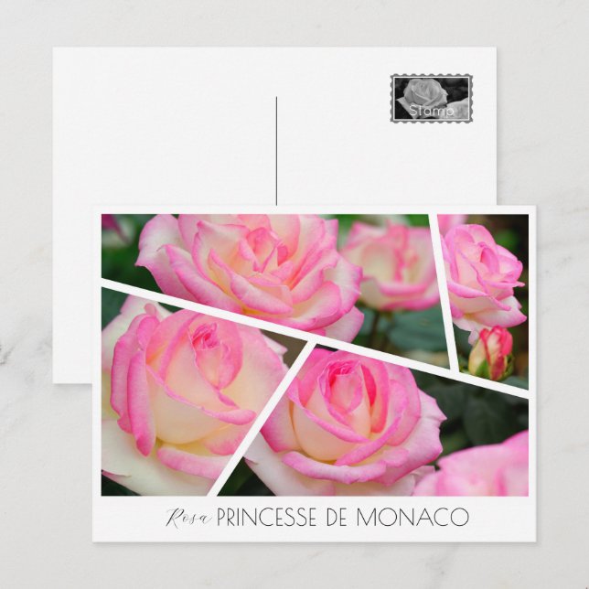 Postal Rosa Princesse de Monaco (Anverso / Reverso)