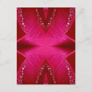 Postal Rosa puro Petal Art - Rojo de sangre y Rosa