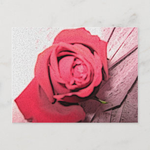 Postal Rosa Roja