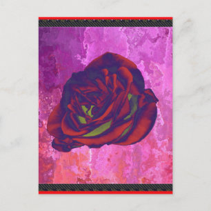 Postal rosa roja