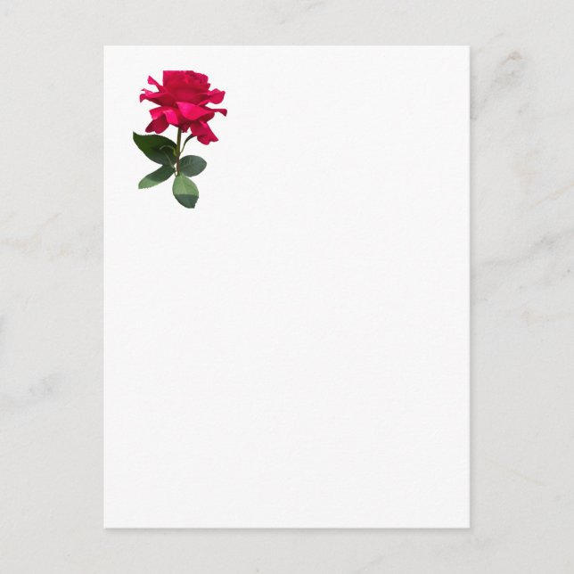 Postal Rosa roja (Anverso)