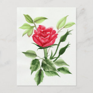 Postal Rosa Roja