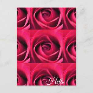Postal Rosa Roja