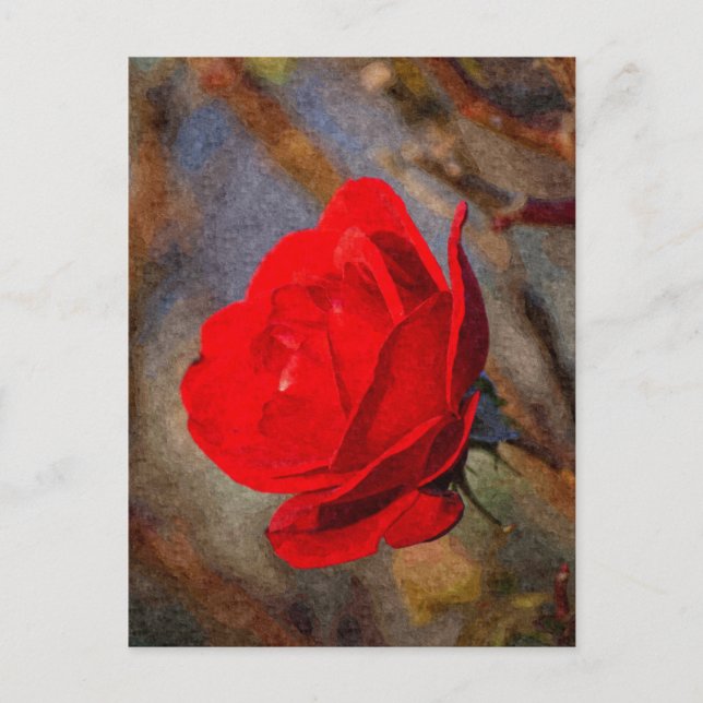 Postal Rosa Roja (Anverso)
