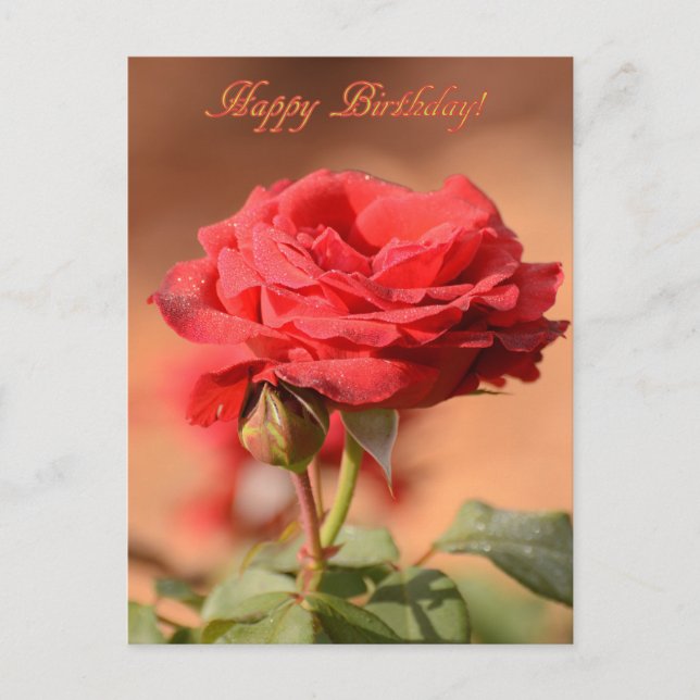 Postal Rosa Roja con Capullo Feliz Cumpleaños  (Anverso)