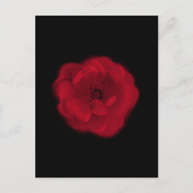 Postal Rosa Roja. Fondo negro. (Anverso)