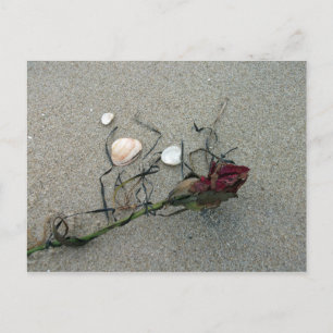 Postal Rosa roja perdida en el mar